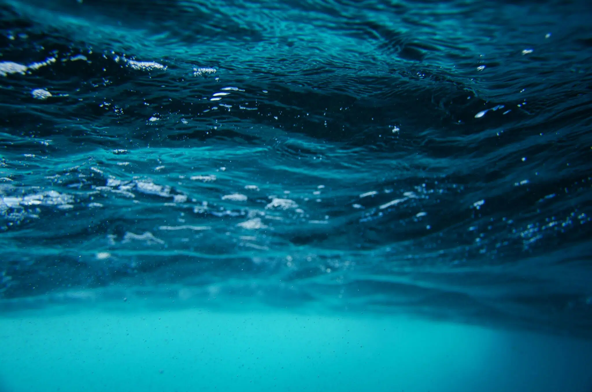 chicopee man drowns in conway community swimming pool in massachusetts