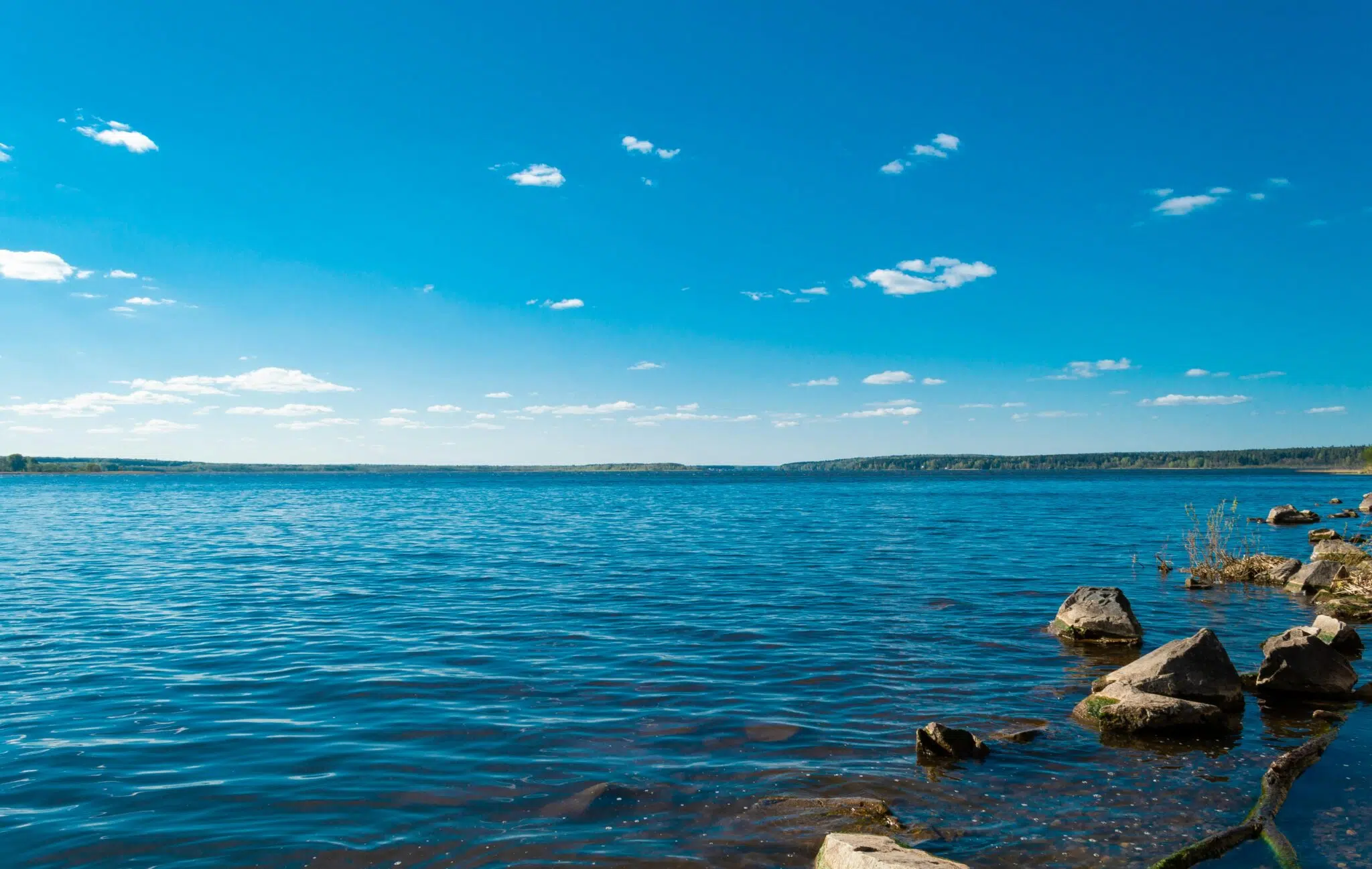 near drowning in georgia lake involving toddler