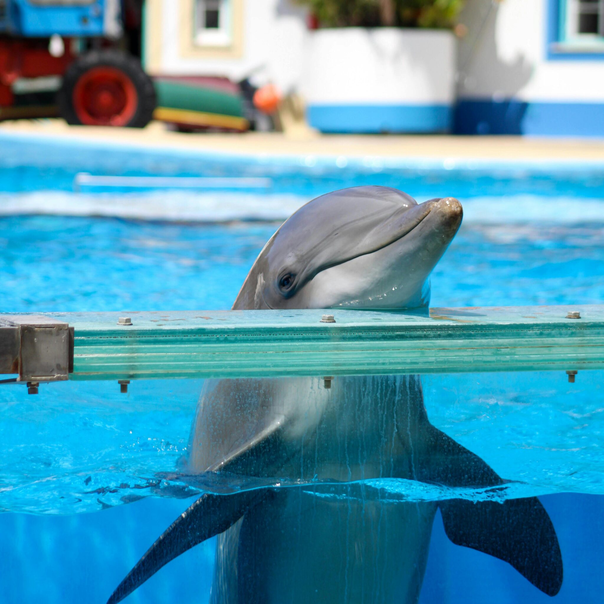 woman injured in seaworld waterslide accident lawsuit